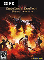 Dragon's Dogma: Dark Arisen for PC
