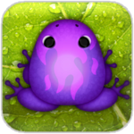 Pocket Frogs for iOS