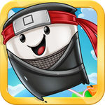Landslide Ninja for Android