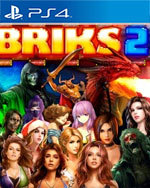 BRIKS 2