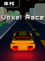 Voxel Race