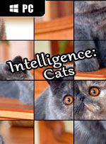Intelligence: Cats