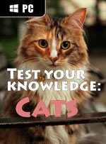 Test your knowledge: Cats