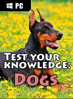 Test your knowledge: Dogs
