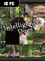 Intelligence: Dogs