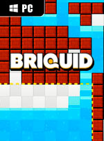 Briquid