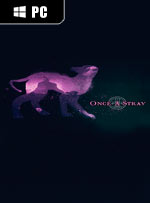 Once A Stray
