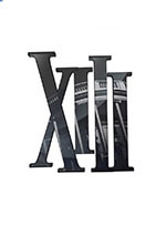 XIII for PC