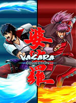 VASARA Collection for PC