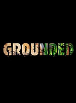 Grounded for PC