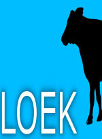 LOEK for PC