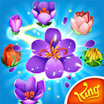 Blossom Blast Saga
