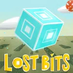 Lost Bits