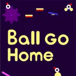 Ball Go Home