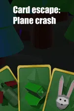 Card escape: Plane crash