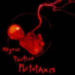 Magnus Positive Phototaxis