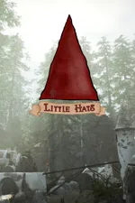 Little Hats
