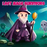 Last Mage Survivors