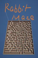 Rabbit Maze