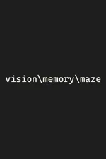vision\memory\maze