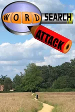 Wordsearch Attack
