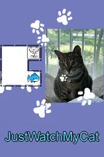 JustWatchMyCat