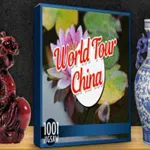 1001 Jigsaw World Tour China