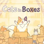 Cats in Boxes