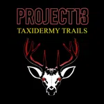 Project 13: Taxidermy