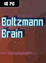 Boltzmann Brain