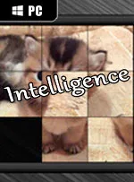 Intelligence