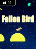 Fallen Bird