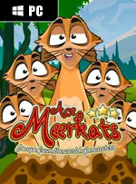 Ace Meerkats