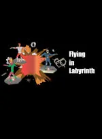 Flying in Labyrinth