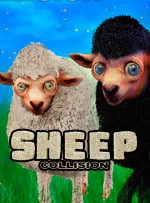 Sheep Collision