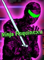 Ninja Roquinexu