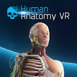 Human Anatomy VR