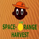 Space - Orange Harvest 1000XP Portable