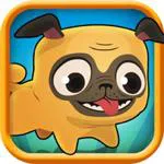 Pug Run