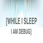 While I Sleep I am Debug