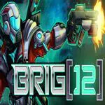 BRIG 12