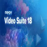 Movavi Video Suite 18 - Video Making Software - Edit, Convert, Capture Screen, and more