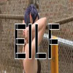 EILF