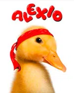 Alexio