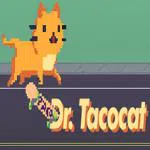 Dr. Tacocat