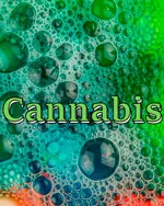Cannabis