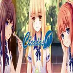 Cicadas - The IQA Edition