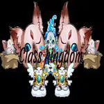 Class Kingdom