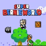 Super Bernie World