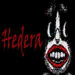 Hedera